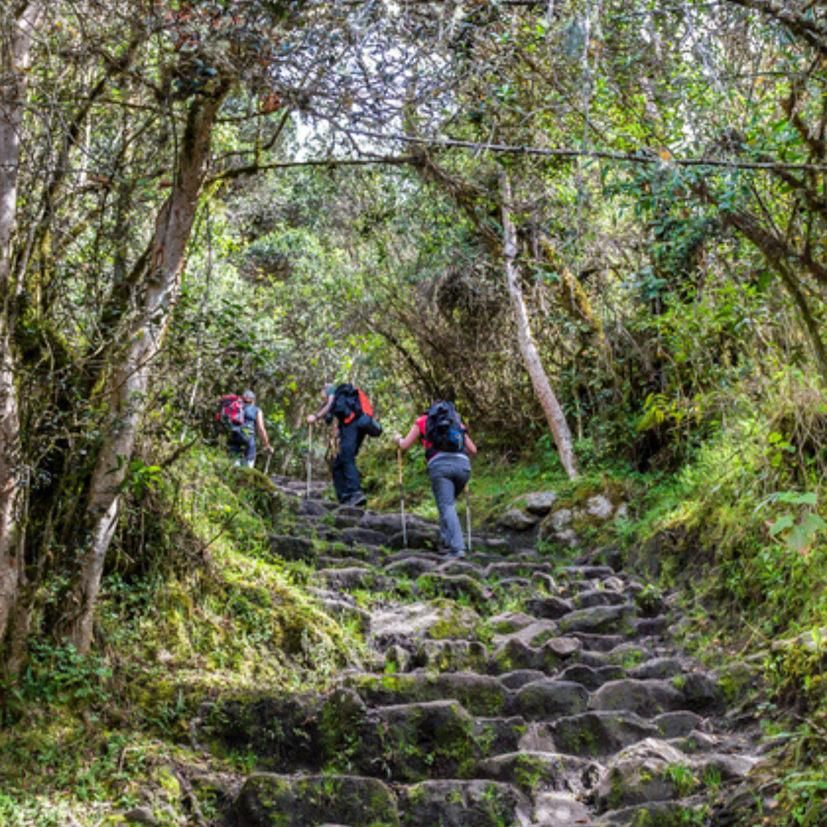 Trekkers on The beautiful trekking path on Inca Trail, uphill steps, Machu Picchu