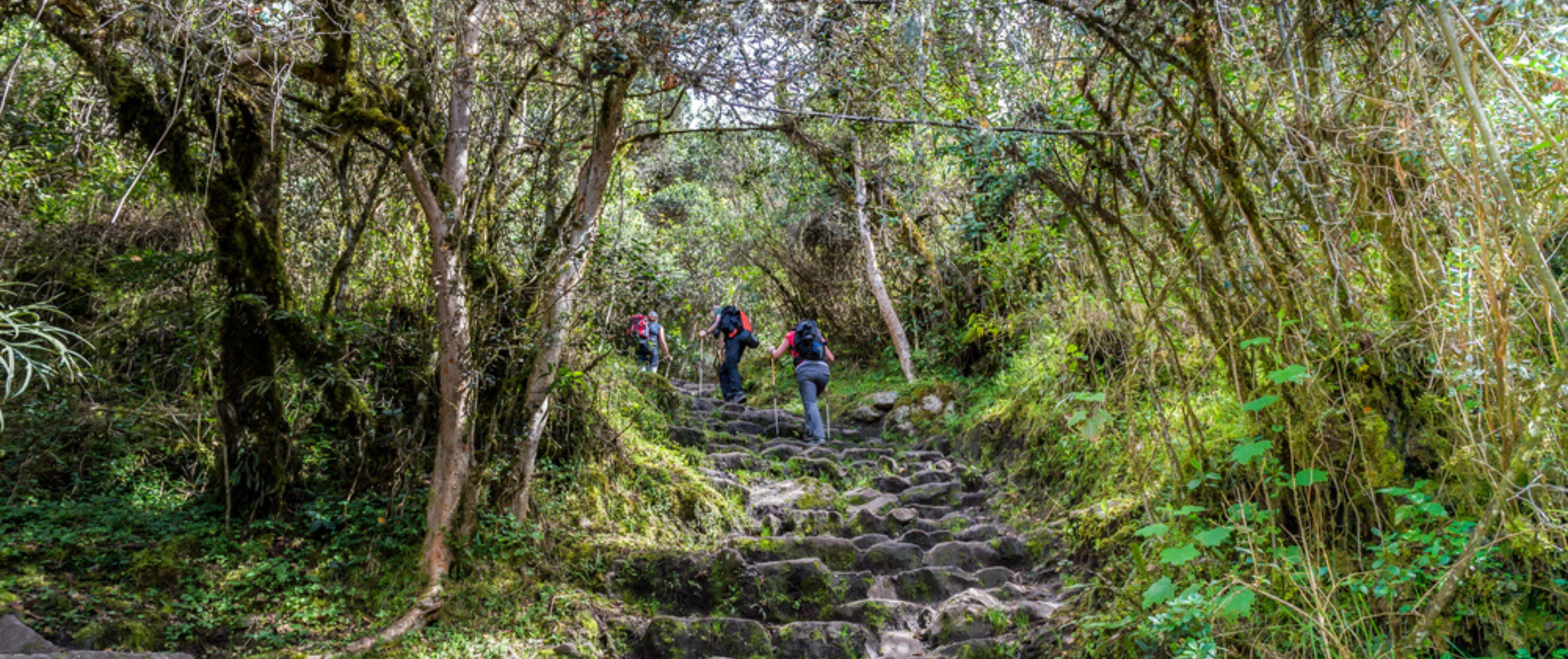 Trekkers on The beautiful trekking path on Inca Trail, uphill steps, Machu Picchu
