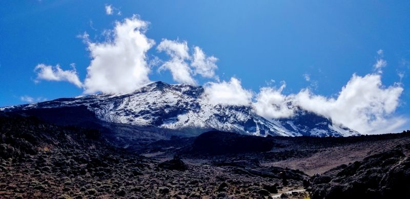 View of Kilimanjaro summit Uhuru Peak from Shira Plateau