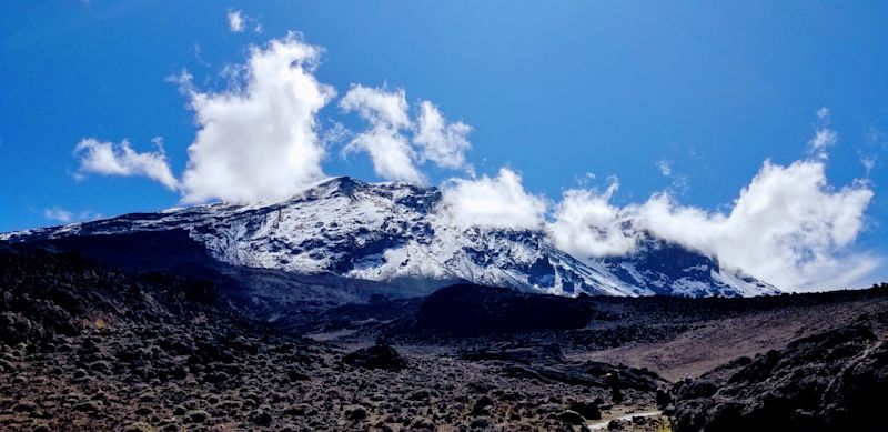 View of Kilimanjaro summit Uhuru Peak from Shira Plateau