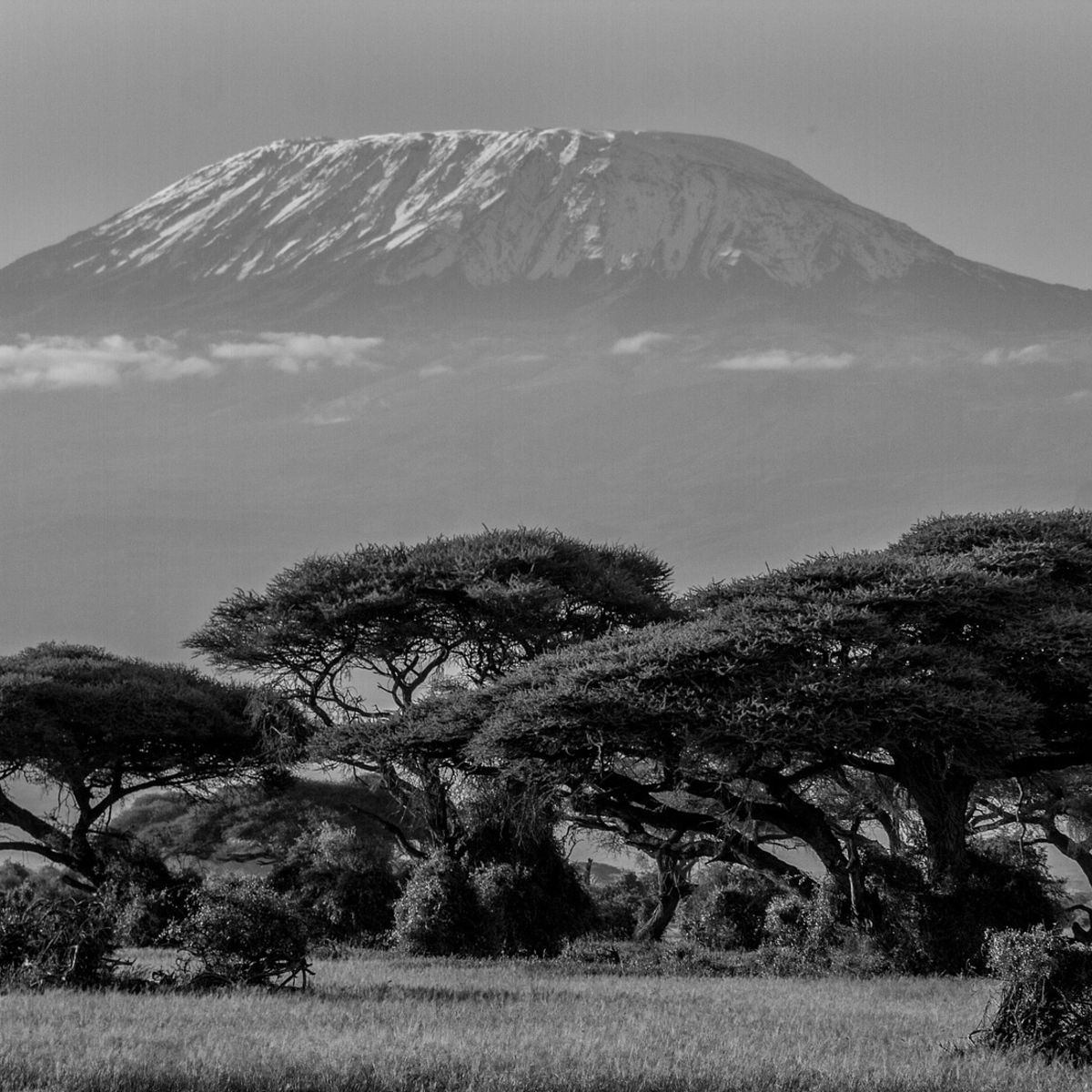 View of Mt Kilimanjaro at sunset from plains