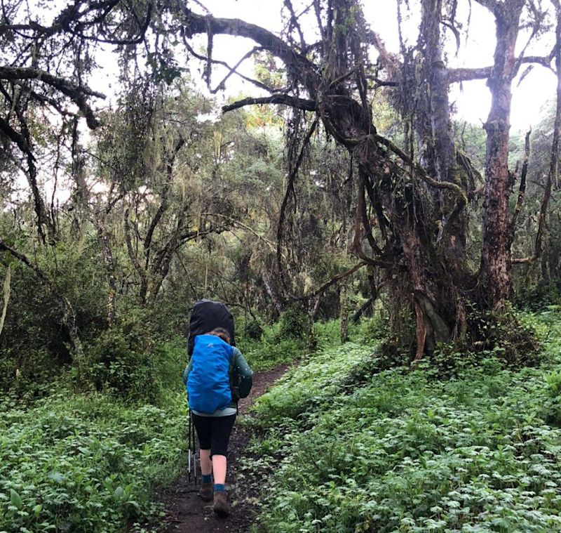 Two people walking along a path in the Kilimanjaro rainforest