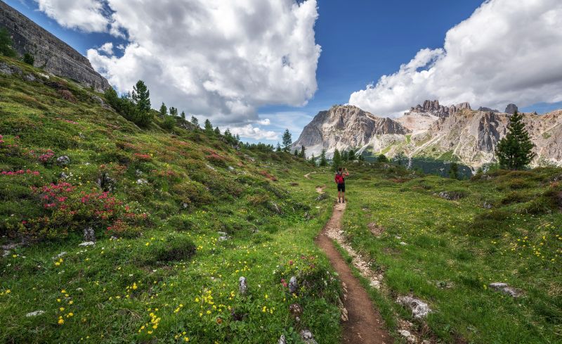 Female hiker in the Dolomites in summer with wildflowers