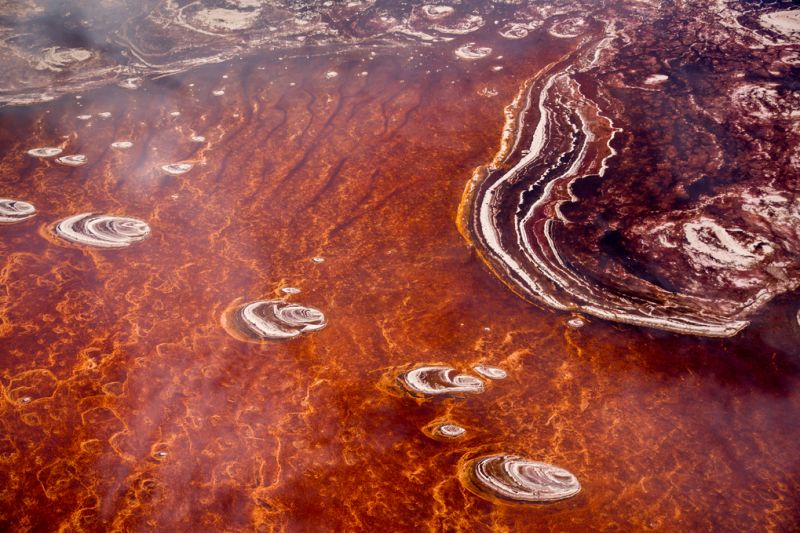 Red algae and salt formations of Lake Natron