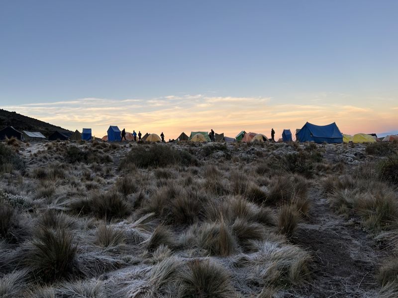 Shira Camp sunrise, Kilimanjaro
