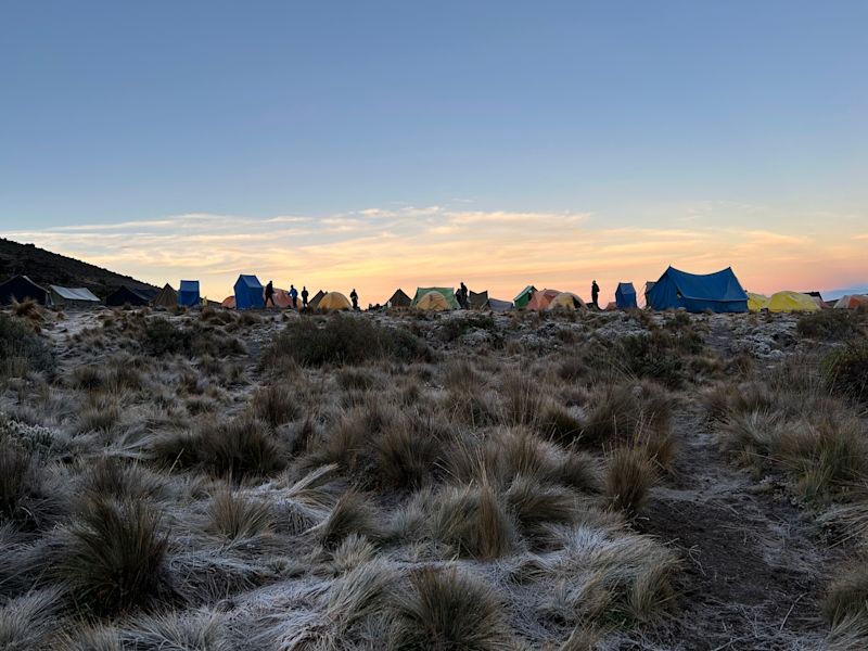 Shira Camp sunrise, Kilimanjaro