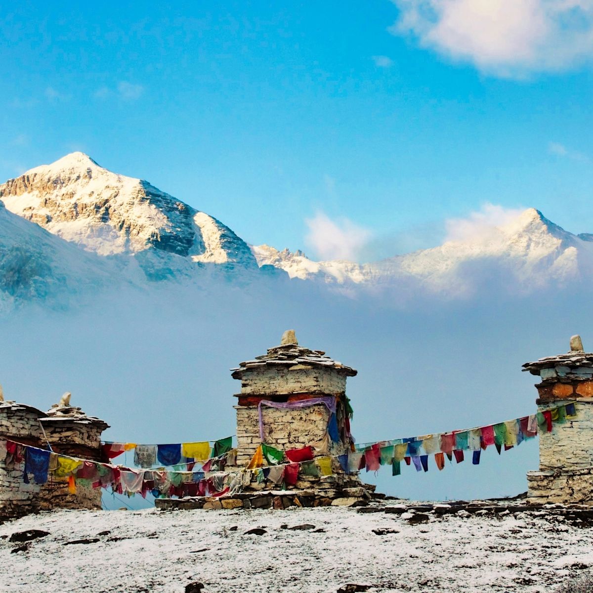 Ours. S. Buddhist stupas in Jomolhari base trekking, Paro, Bhutan