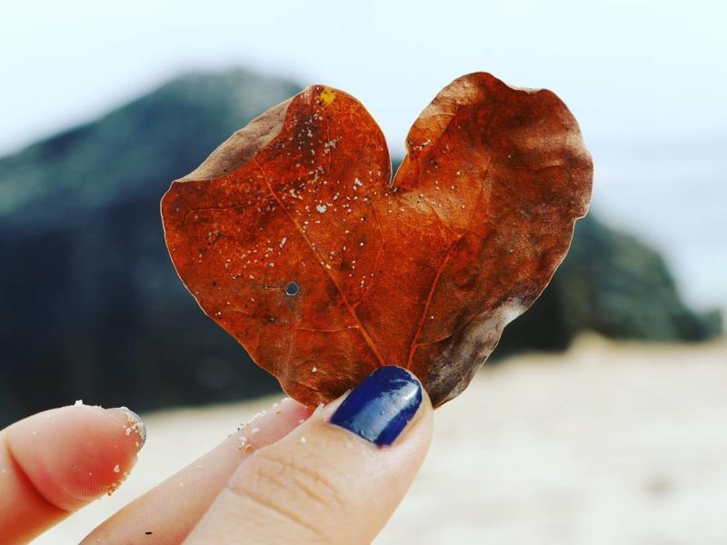 Picture of a heart in the shape of a leaf