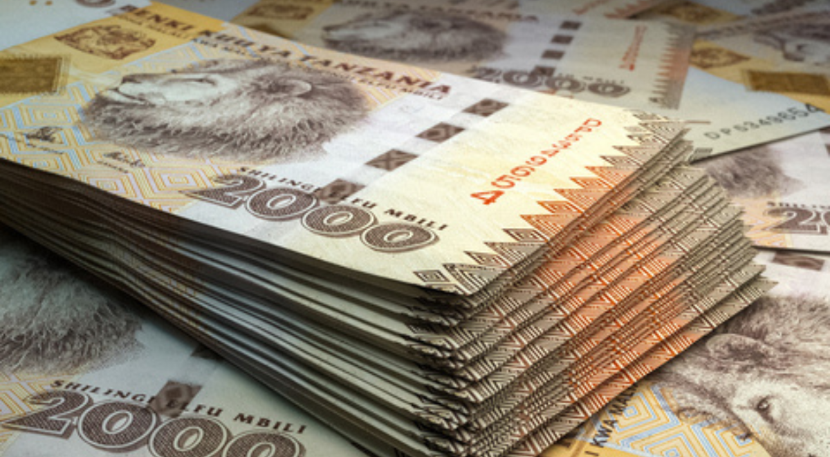 Tanzania currency