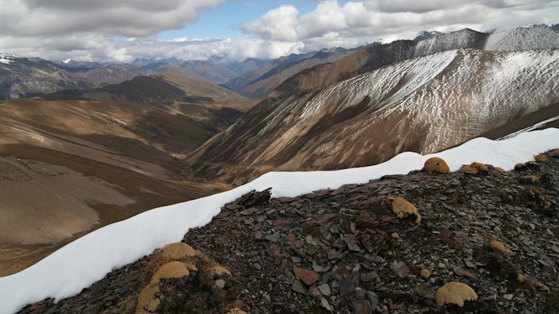 Pur. Nyele La, Nyile La, mountain pass, Bhutan, Jigme Dorji NP