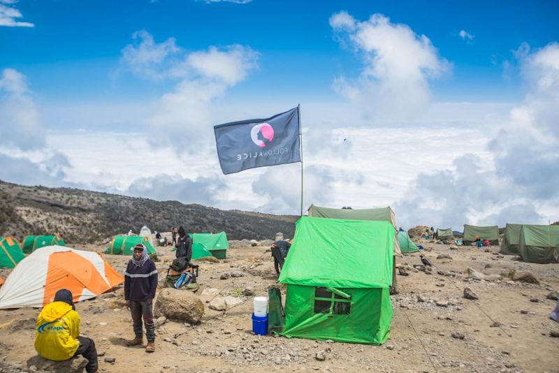 Follow Alice set up camp on Mount Kilimanjaro