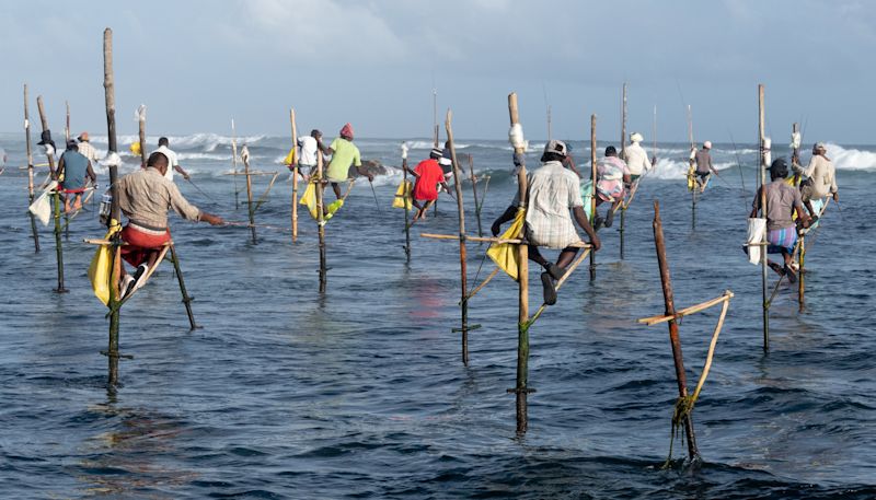 Traditional stilt fishermen angling in the Indian Ocean near Koggala, Sri Lanka