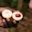 Whole fresh nutmeg and mace. Farm worker on zanzibar spice plantation presenting freshly harvested nutmeg and mace during a guided spice tour