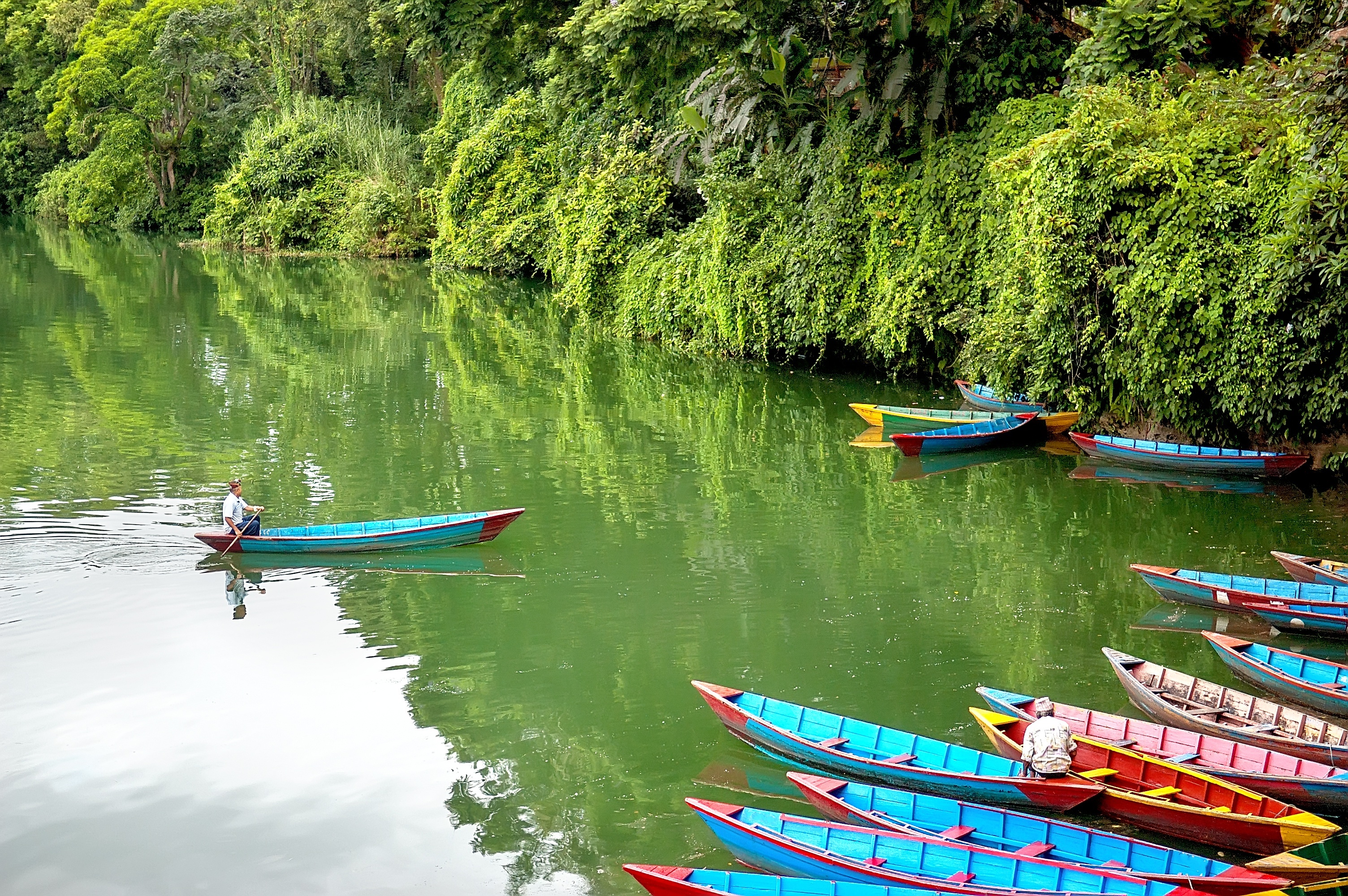 Colorful boats or canoes on on the Phewa Lake in Pokhara, Nepal