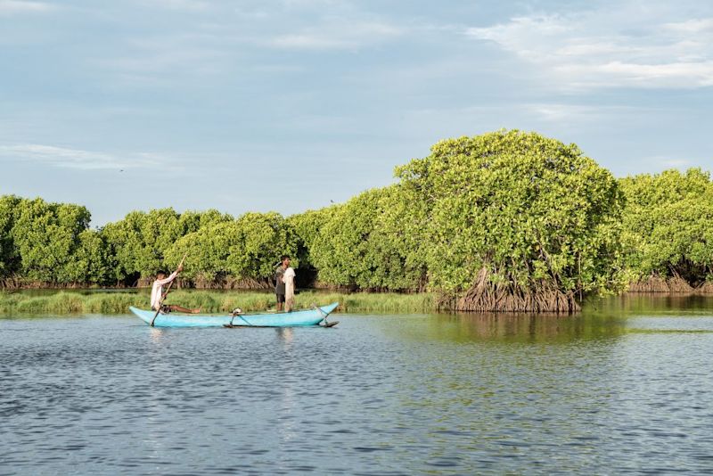 Lagoon in Sri Lanka