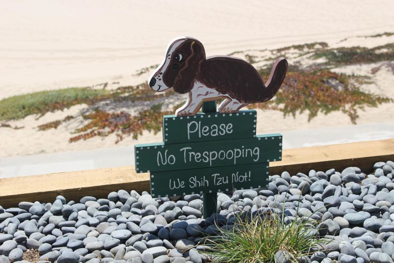 No dog poop sign on beach