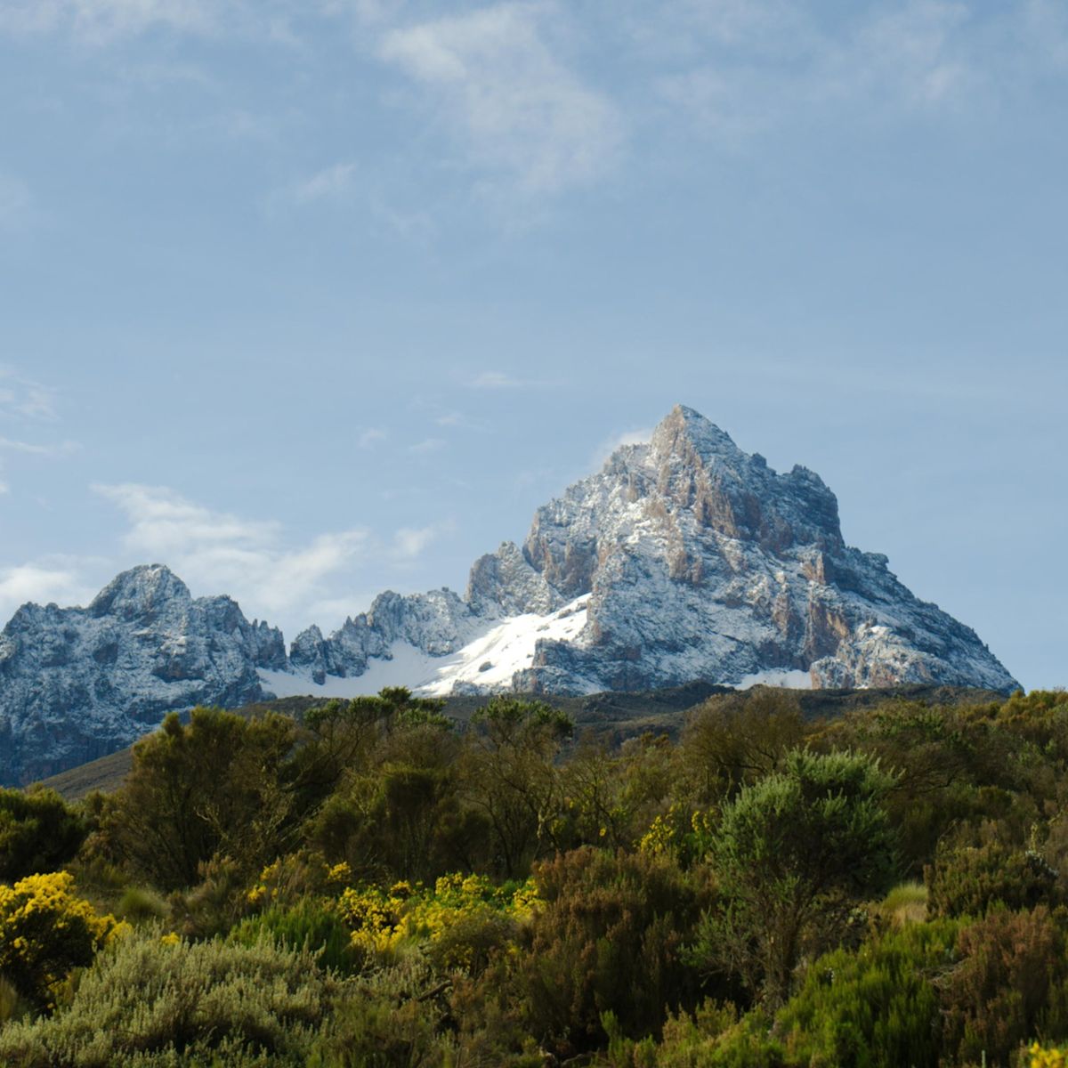 Ours. S. View to Mawenzi Peak from moorland, Kilimanjaro