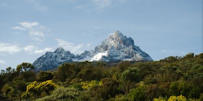 Ours. S. View to Mawenzi Peak from moorland, Kilimanjaro