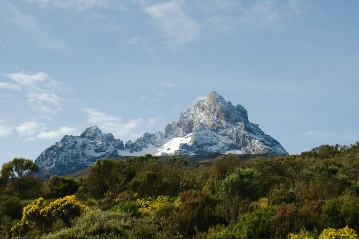 Rongai Route: Kilimanjaro’s Remote Northern Ascent