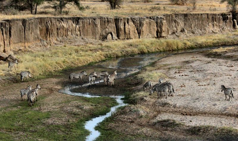 Tarangire River, Tarangire National Park