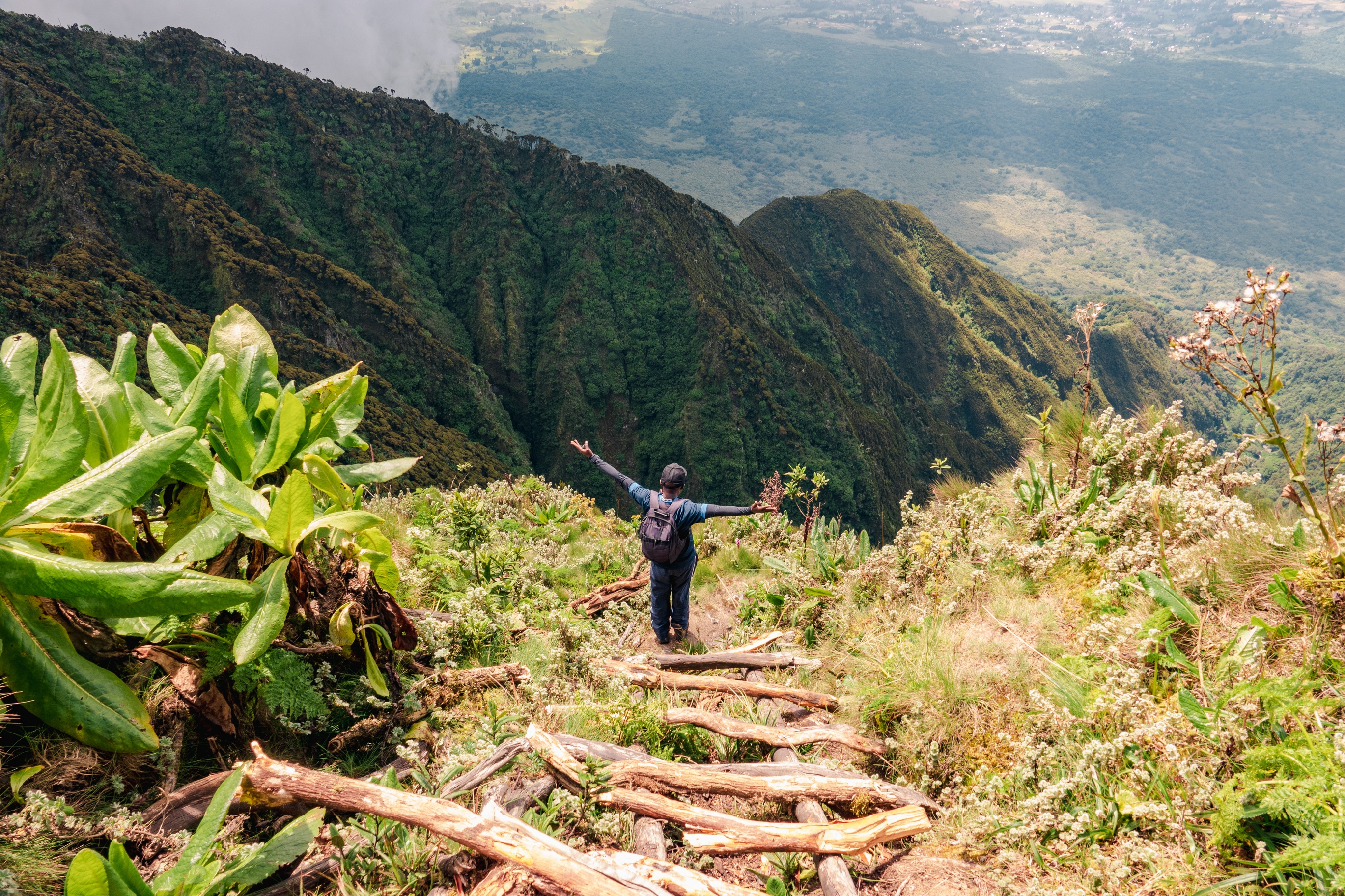 Rear view of a hiker on a wooden ladders at Mount Sabyinyo, Uganda