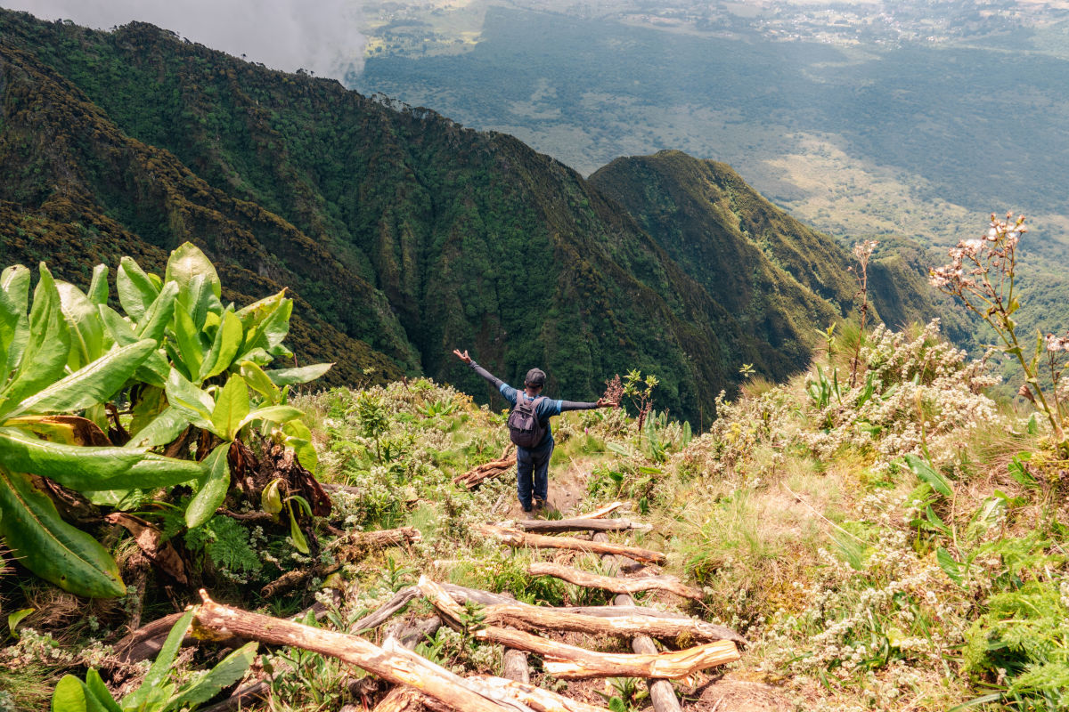 Rear view of a hiker on a wooden ladders at Mount Sabyinyo, Uganda