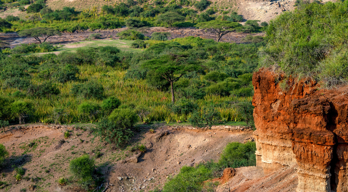 Olduvai Gorge Tanzania