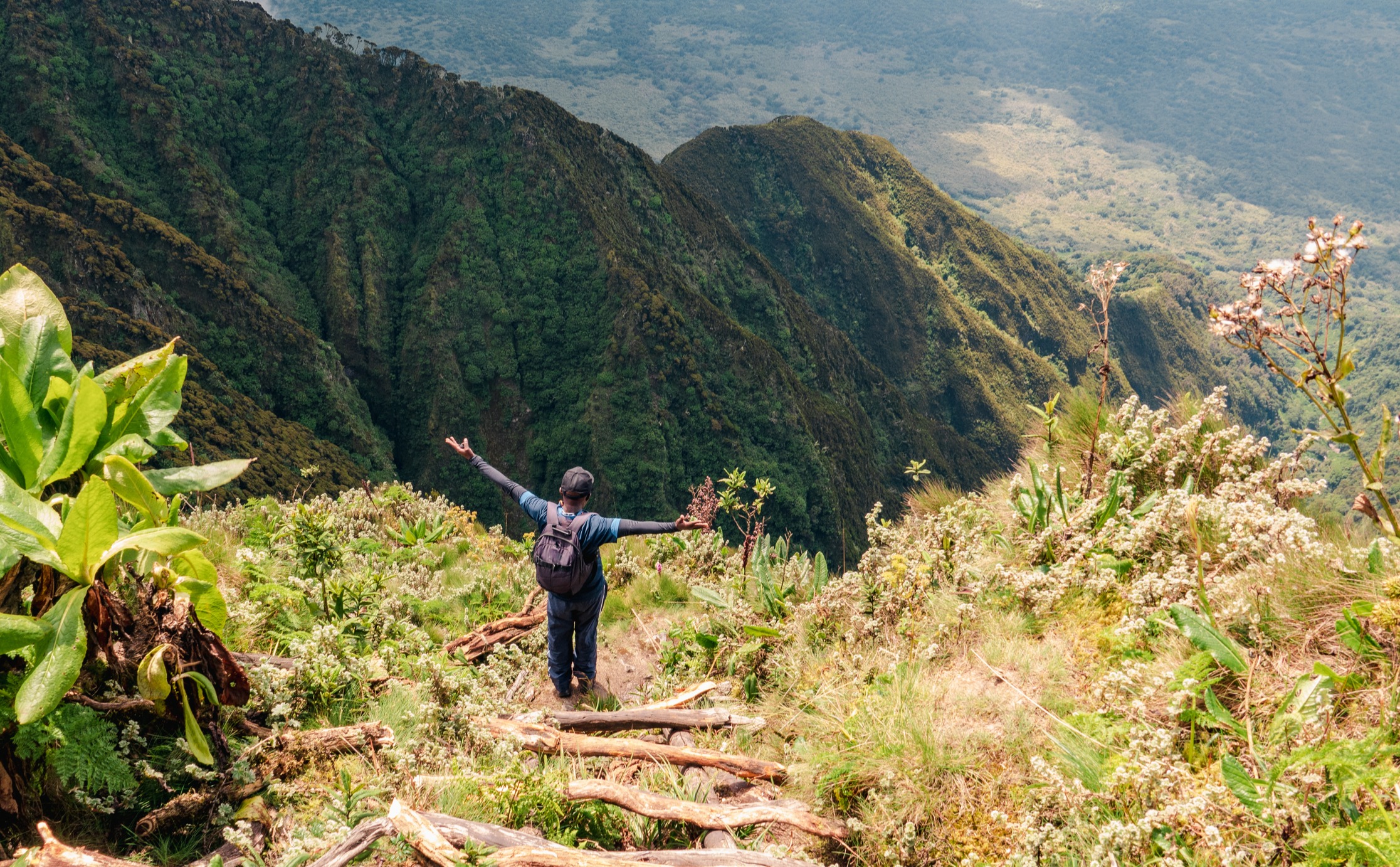 Rear view of a hiker on a wooden ladders at Mount Sabyinyo, Uganda