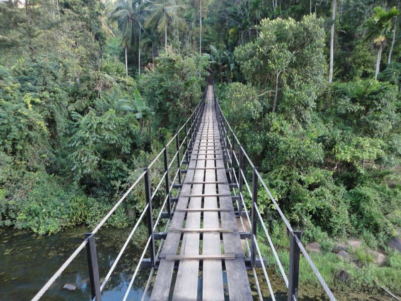 An old bridge and rainforest in Sri Lanka