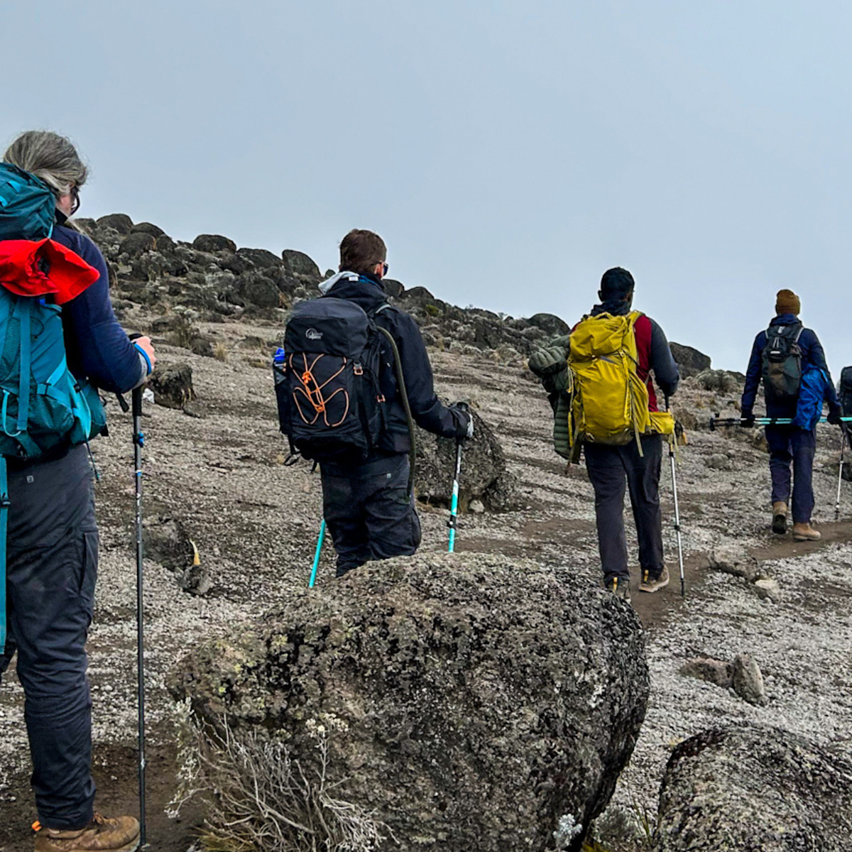Trekkers climbing Mount Kilimanjaro