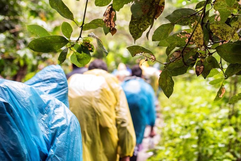 Rainy day for hikers in yellow and blue ponchos on the way to Aguas Calientes on Inca Trail, Peru 