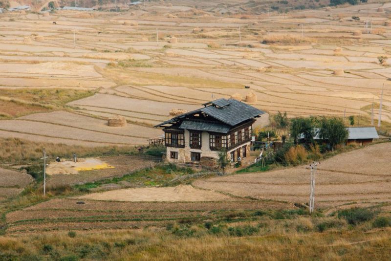 Traditional-homestead-in-Punakha-Bhutan-2-1024x683.jpg