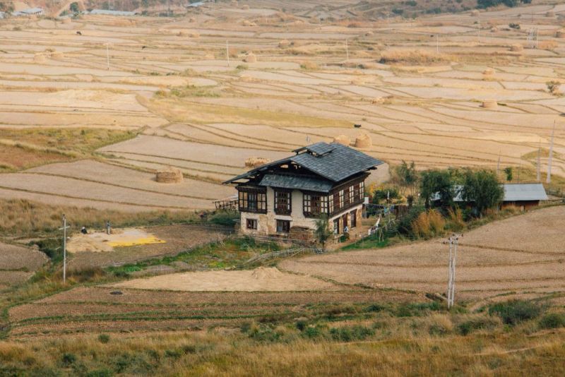 Traditional-homestead-in-Punakha-Bhutan-2-1024x683.jpg