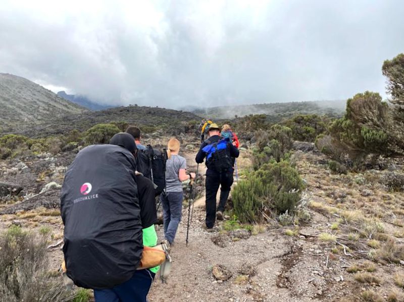 Kilimanjaro trekkers, physical preparation