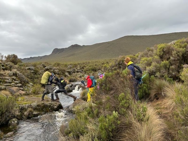 Moorland Lemosho route Kilimanjaro climbers cross a stream