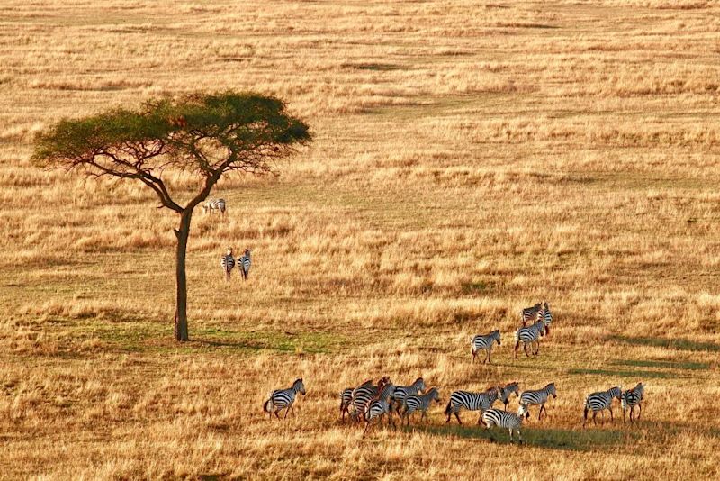 balloon safari Serengeti