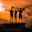 Young silhouetted trio standing on a car in Kenya waving goodbye