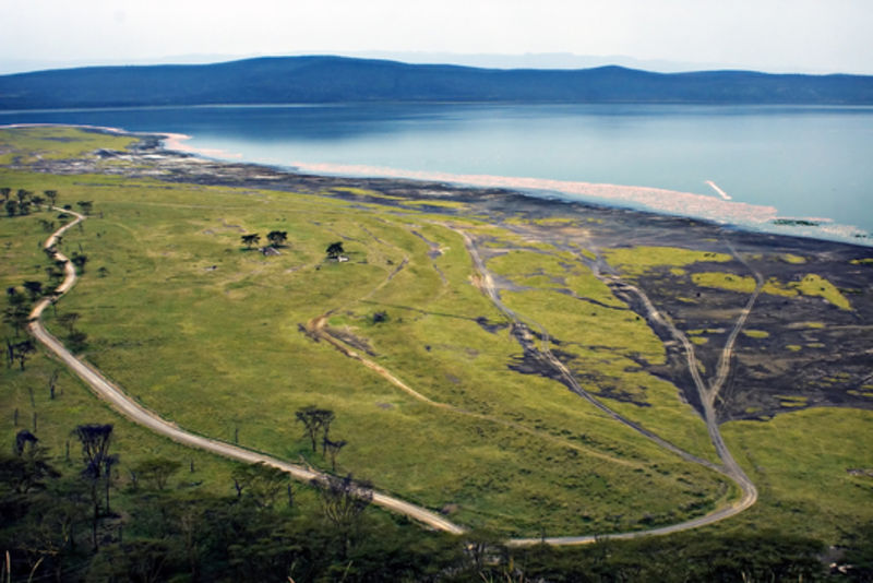 Aerial view of Lake Nakuru in the Great Rift Valley with pink line of flamingoes