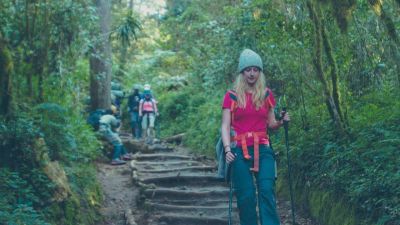 Young female trekker in red shirt and holding trekking poles walks down a stepped forest path on Kilimanjaro