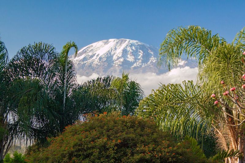 Mt Kilimanjaro