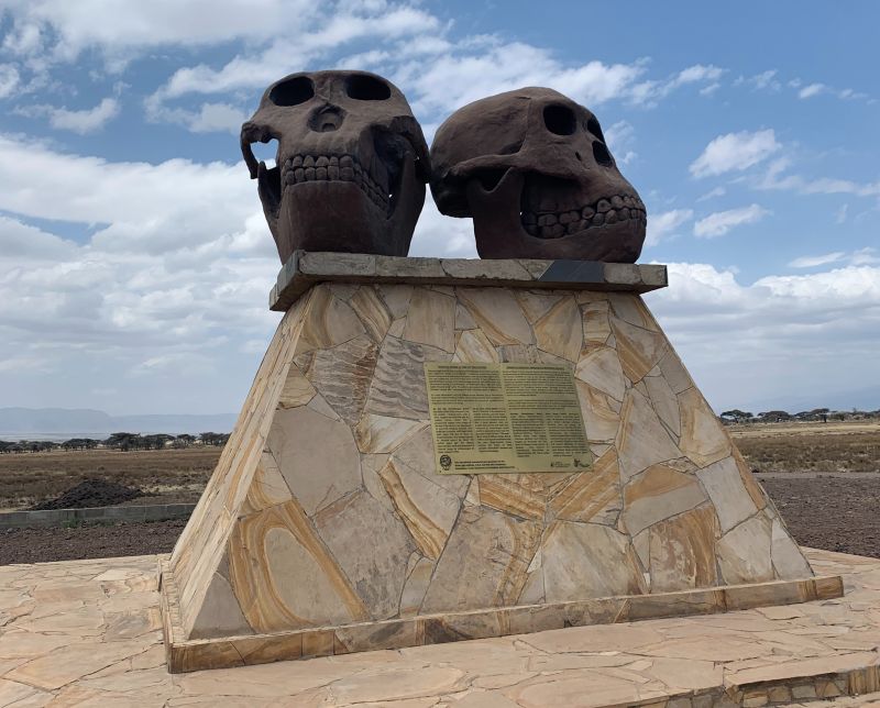 Olduvai Gorge skulls statue, cradle of civilisation, Tanzania safari