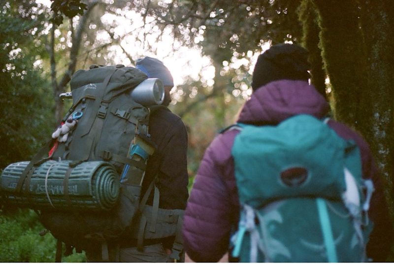 Hikers seen from behind while walking in forest of Kilimanjaro