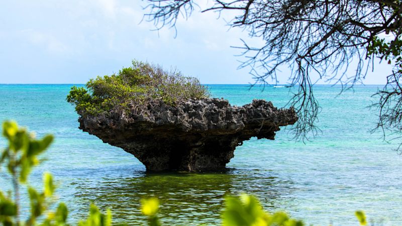Beach Diani Kenya ocean rocky outcrop