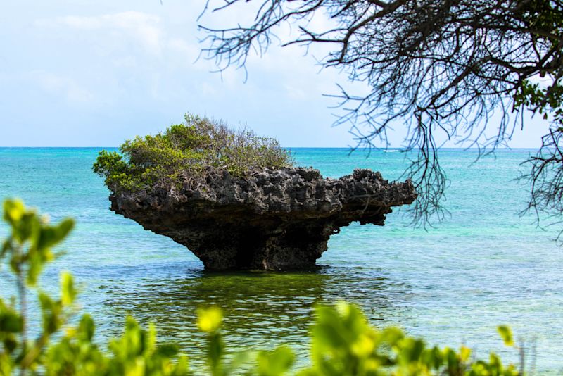 Beach Diani Kenya ocean rocky outcrop