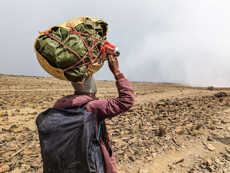 Back and head of Follow Alice porters carrying backpack in rain cover and head parcel