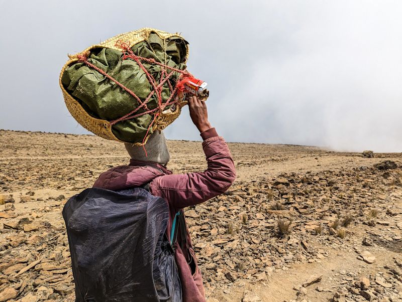 Back and head of Follow Alice porters carrying backpack in rain cover and head parcel