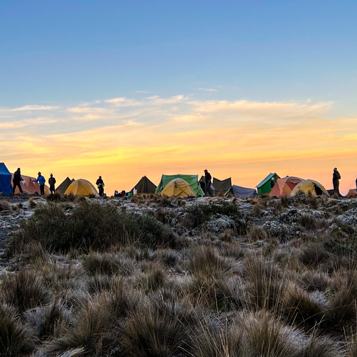 Campsite