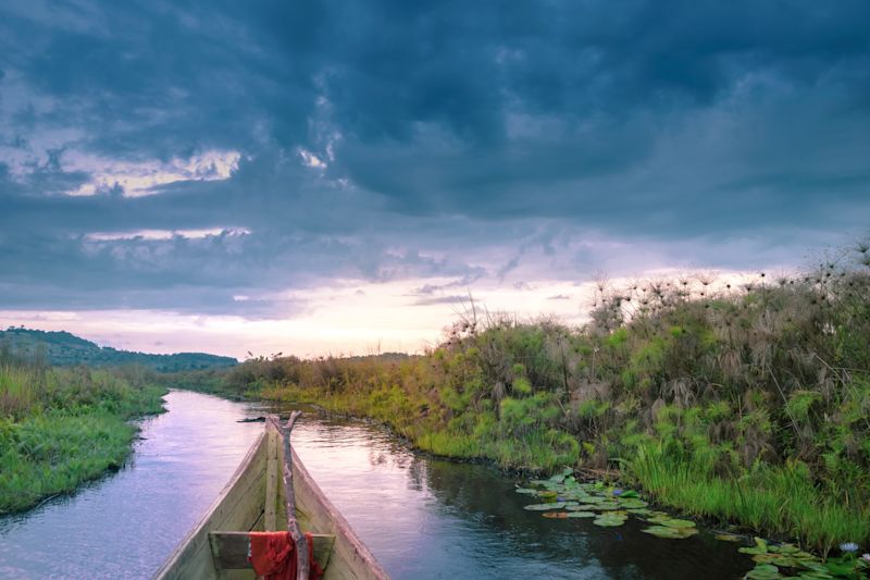 Sunset view of Mabamba Swamp from a little wooden fishing boat, Entebbe, Uganda 