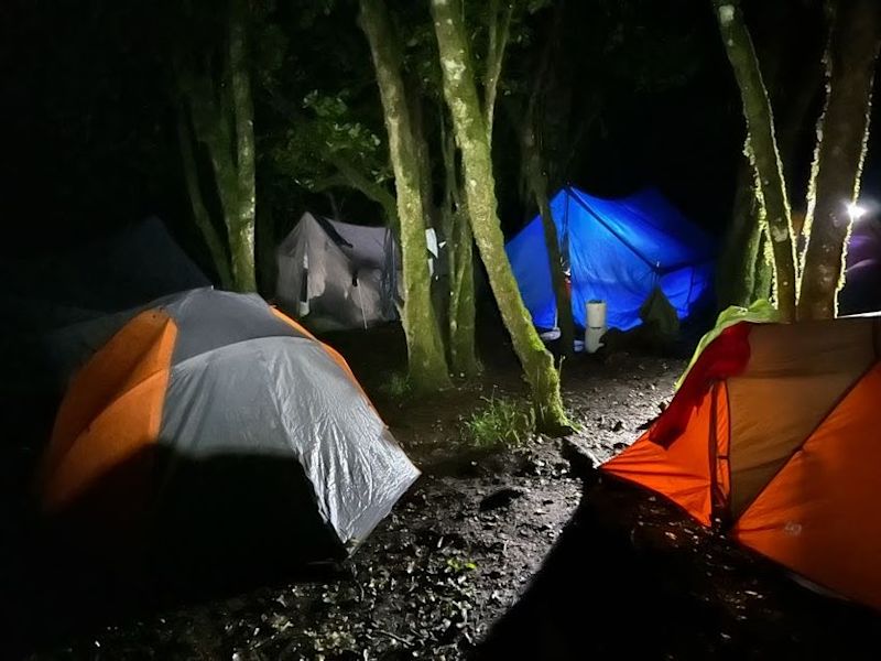 Kilimanjaro forest campsite Mti Mkubwa on Lemosho route