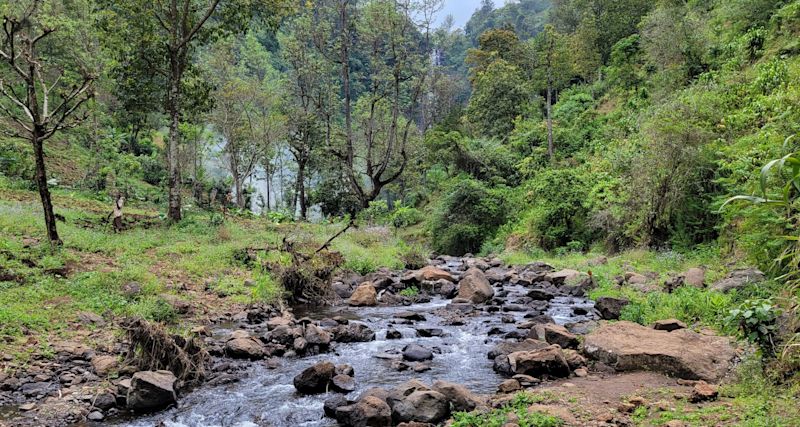 Stream on Materuni Waterfall hike Tanzania